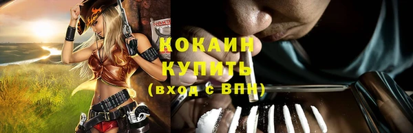 mdpv Вяземский