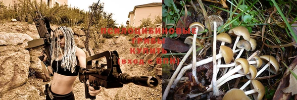 кокаин колумбия Вязьма