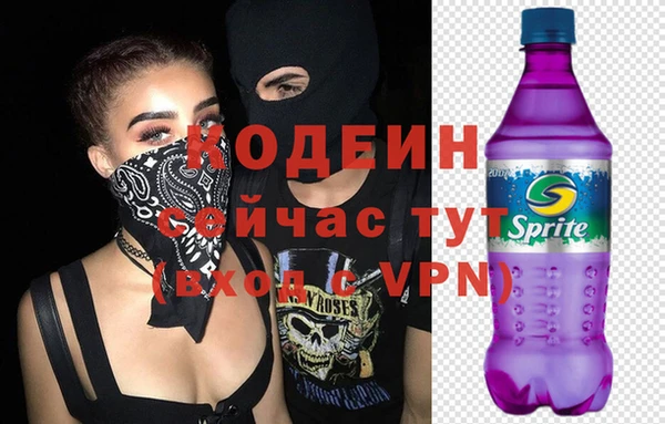 mdpv Вяземский