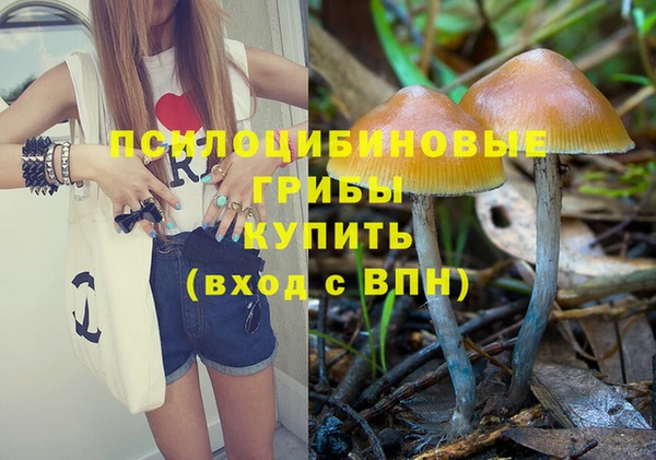 mdpv Вяземский