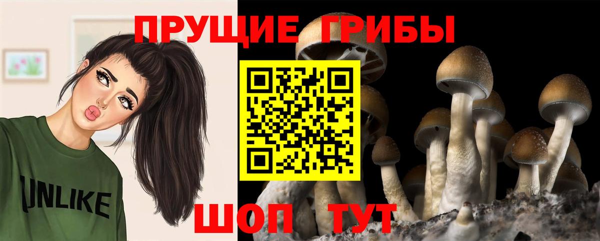Снежинск  Псилоцибиновые грибы ЛСД  Вход с VPN  Галлюциногенные грибы мухоморы 